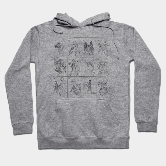 12 zodiac signs Hoodie by cyber t-shirt